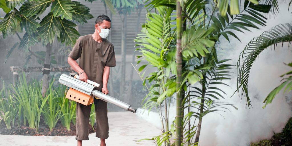 mosquito-repellent-plants garden-gate Anti Insect (Mosquito) Fumigation