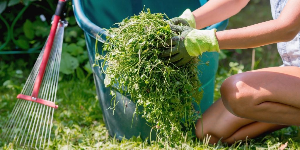 A young woman works in the backyard of the house and collects grass with a rake after a mower