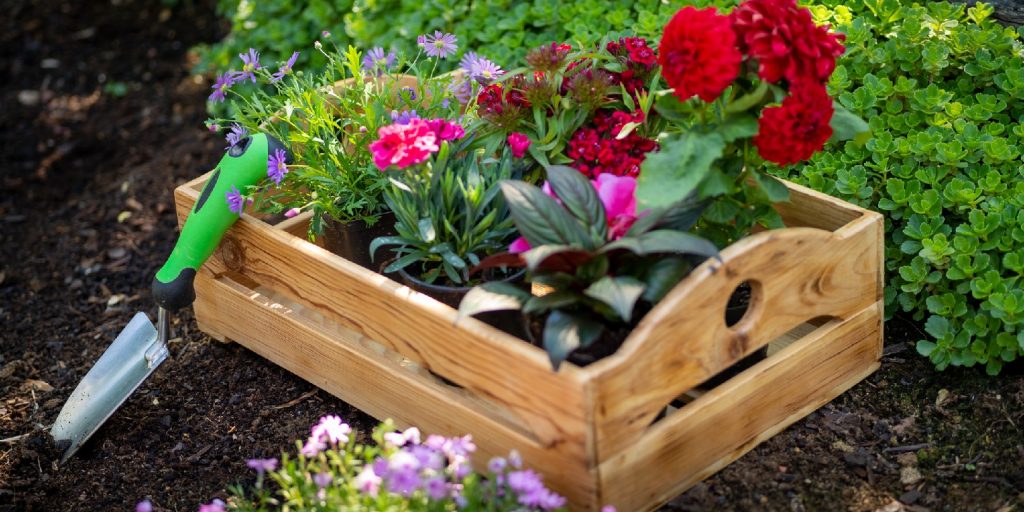 spring-flower-garden-ideas garden-gate Garden Tools and Crate Full of Gorgeous Plants Ready for Planting
