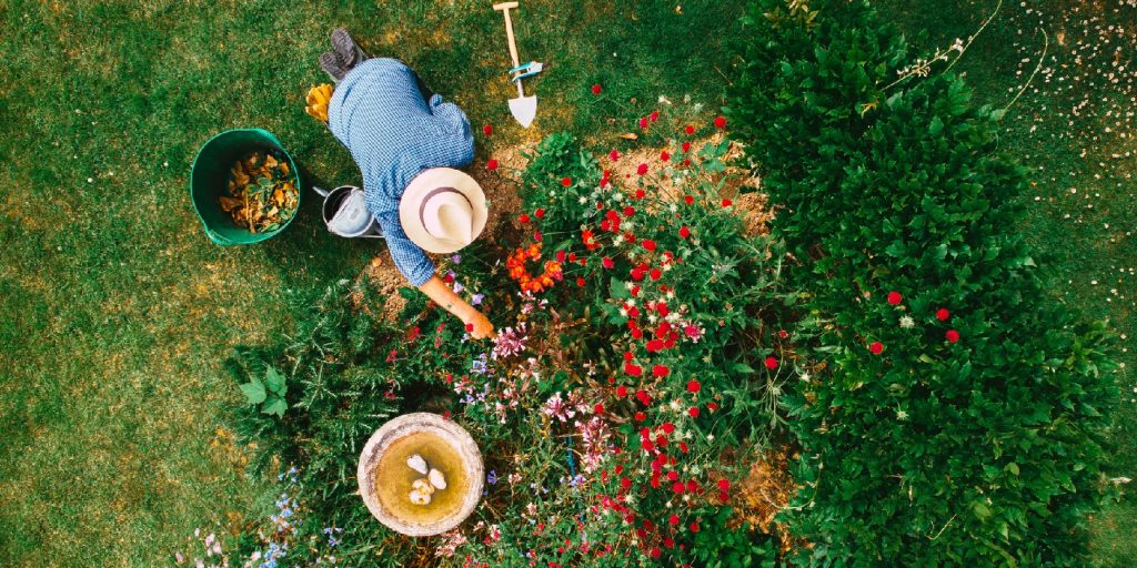 High angle view of man watering flowerbed in garden