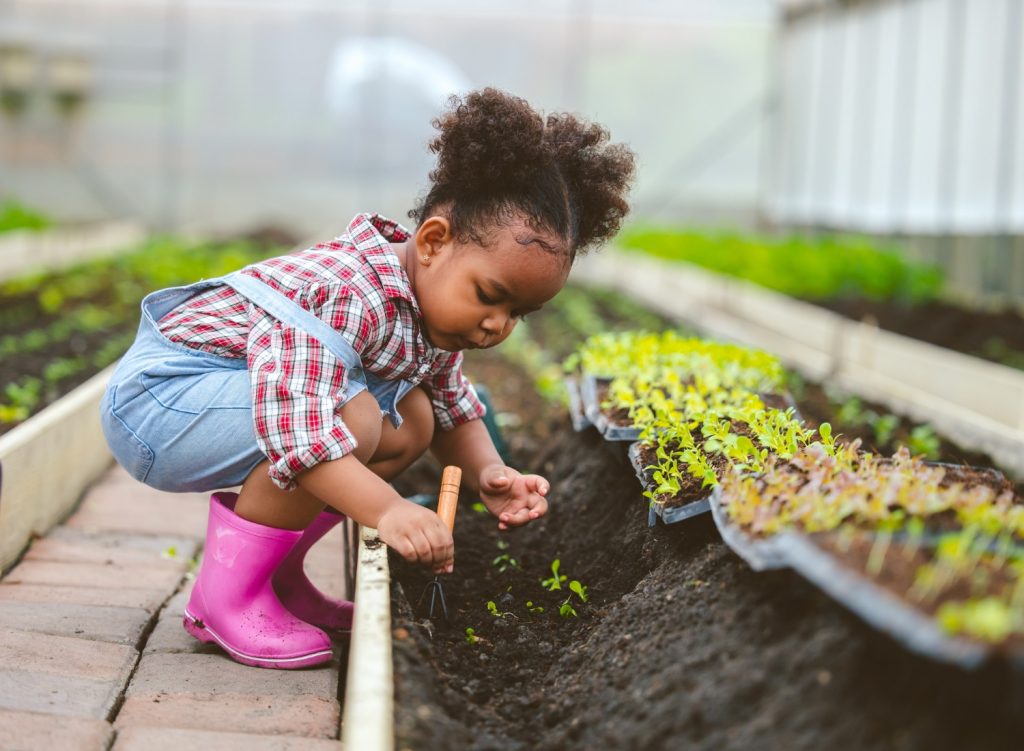 homemade-plant-food garden-gate little child using plant food for gardening