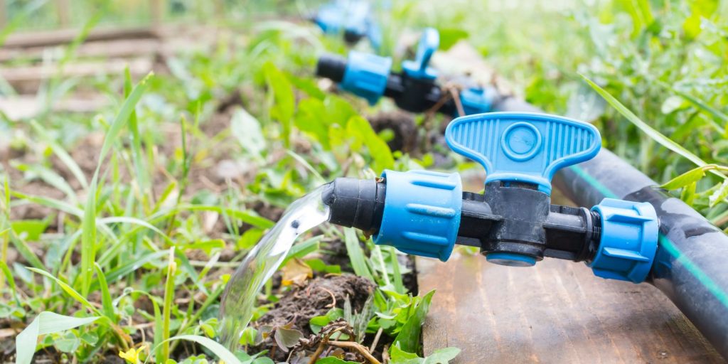 Drip Irrigation System Close Up.