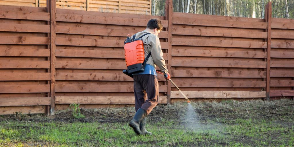 hydrangea-fertilization garden-gate man sprays grass with herbicide of a knapsack sprayer