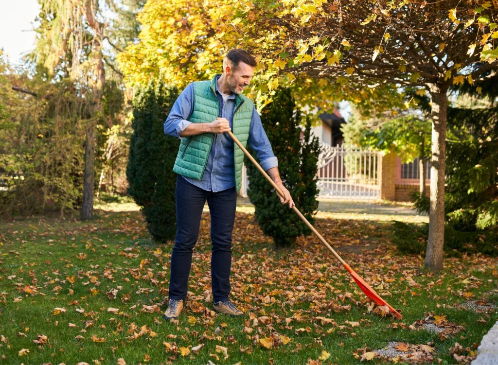 Man raking leaves in his lawn