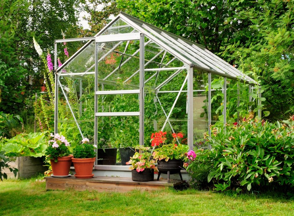 Greenhouse garden