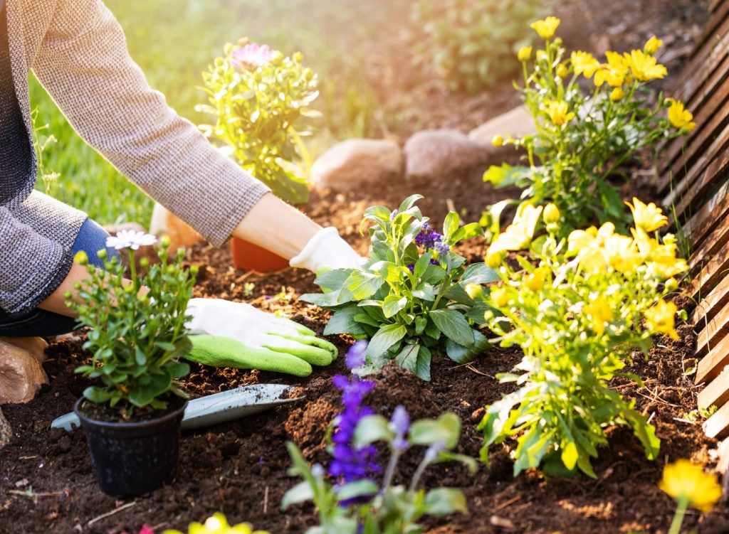 Person flower gardening