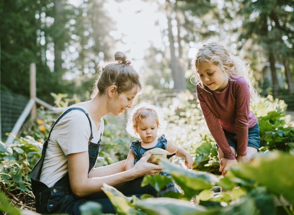 Family homestead gardening