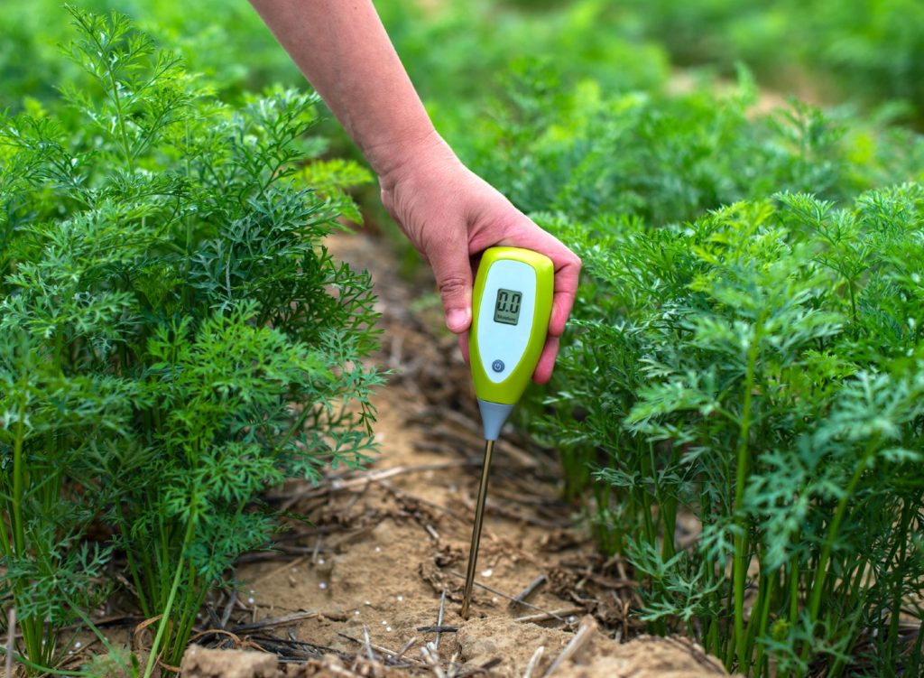 Person testing garden soil