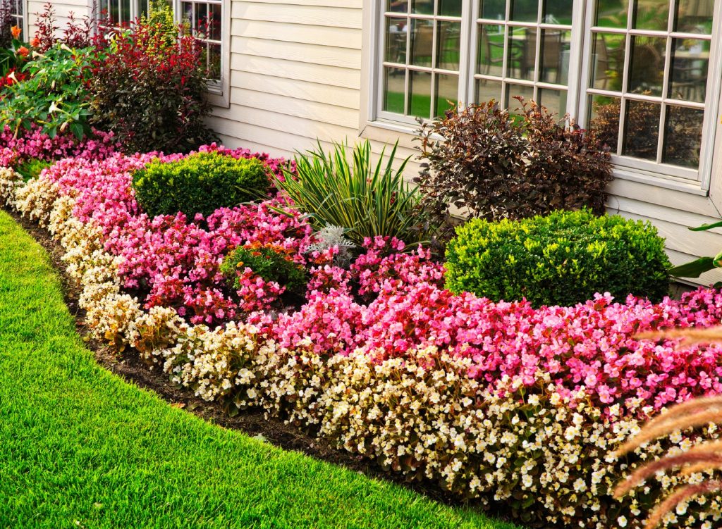iStock-153194946 Flower bed