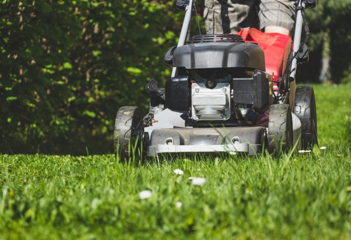 The Best Push Mowers of 2024