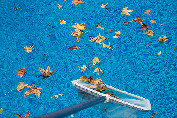 best pool leaf vacuum