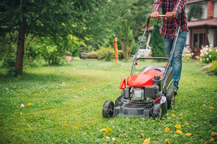 The Best Battery Lawn Mowers of 2024