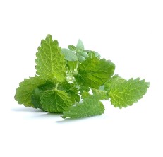 The Country Creek Lemon Balm Seeds sold on Amazon