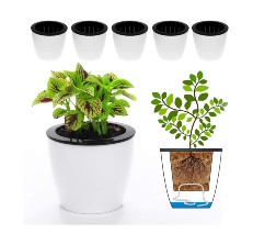 DELF Six-Pack Self-Watering Planter