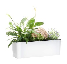 GardenBasix Elongated Self-Watering Planter