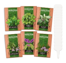 The HOMEGROWN 6 Mint Seeds Pack sold on Amazon