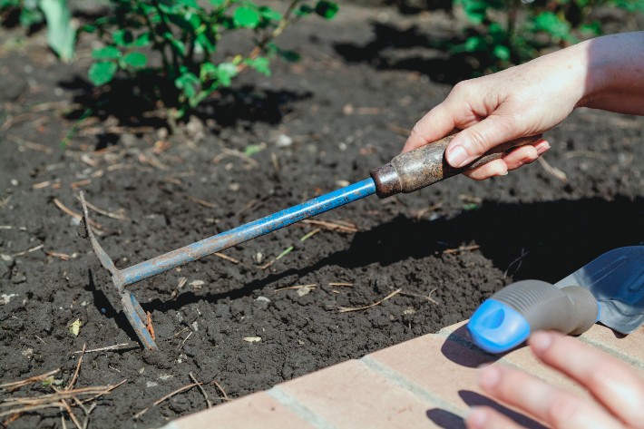 A person digging at their garden using a hand digger and hoe combo.