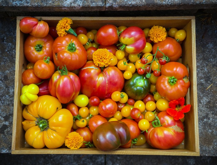 A crate full of heirloom tomatoes and other veggies.