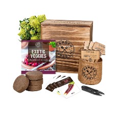 Indoor Vegetable Garden Starter Kit