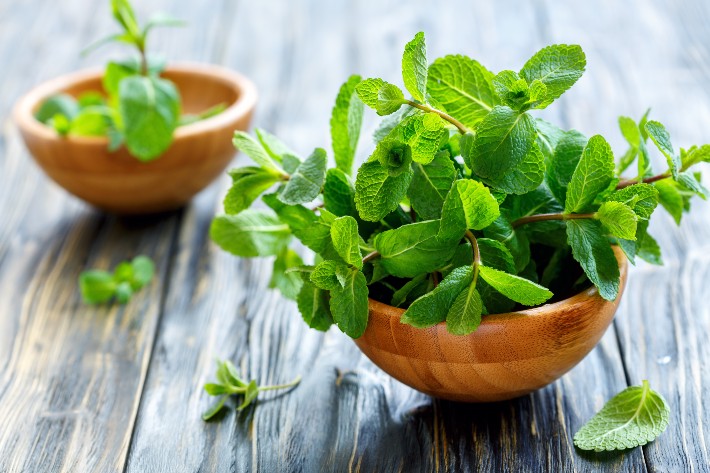 Two wooden bowls hold vibrant green mint, grown from the best mint seeds, on a rustic background.
