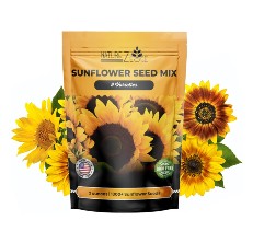 NatureZ Edge Sunflower Packet