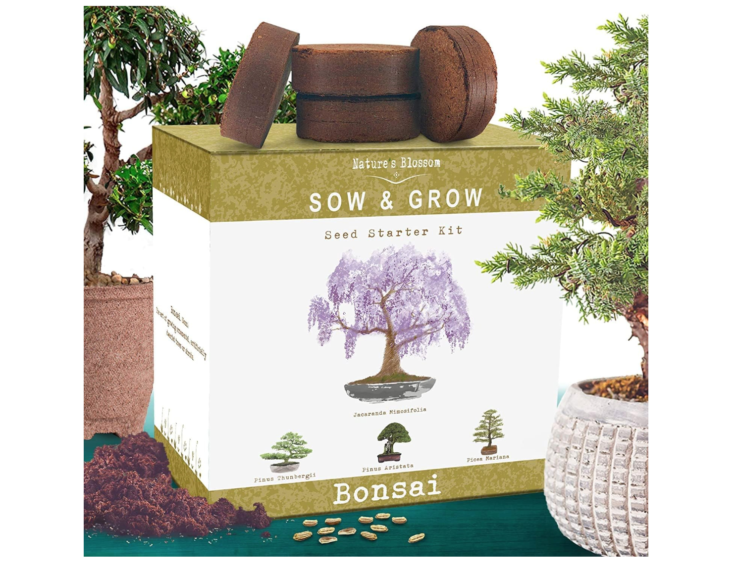 Nature's Blossom Bonsai Tree Kit