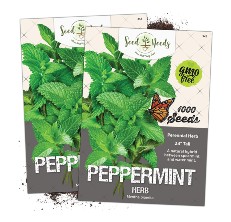 The Seed Needs Peppermint Mint Seeds sold on Amazon