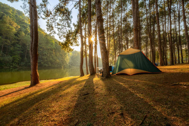 six person tent