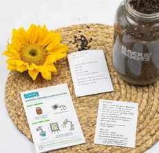 Back to the Roots Sunflower Grow Kit