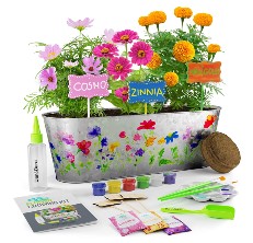 Dan&Darci Flower Grow Kit