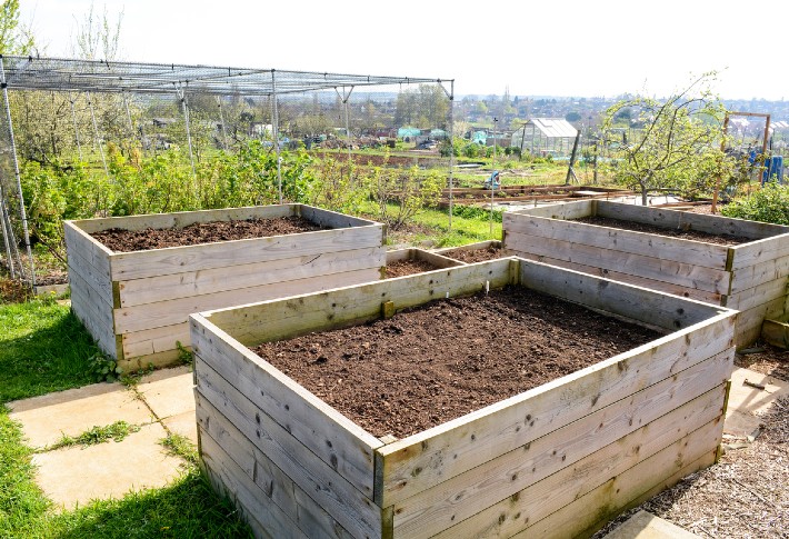 The Best Raised Garden Bed of 2024