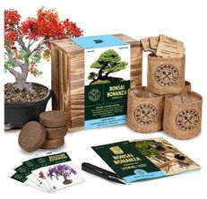 GARDEN REPUBLIC Bonsai Tree Kit