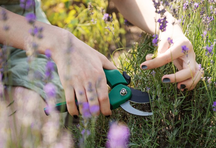 best gardening scissor