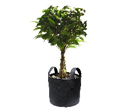 Gardzen Grow Bag