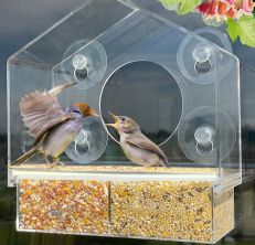Go Simply Amazing Window Bird Feeder