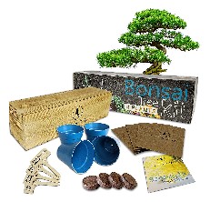 Loako Bonsai Tree Kit