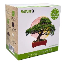 Natureit Bonsai Tree Kit