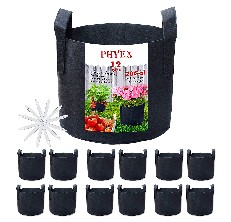 PHYEX Grow Bag
