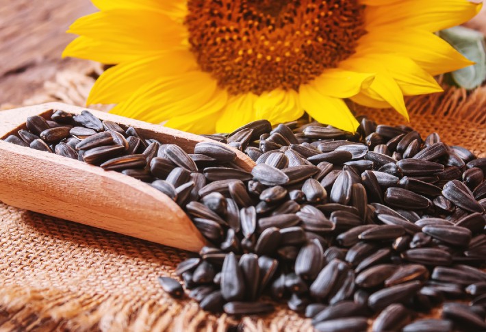 A pile of sunflower seeds next to a sunflower.