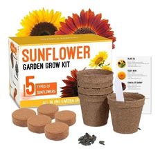 Wellness Tree Sunflower Grow Kit