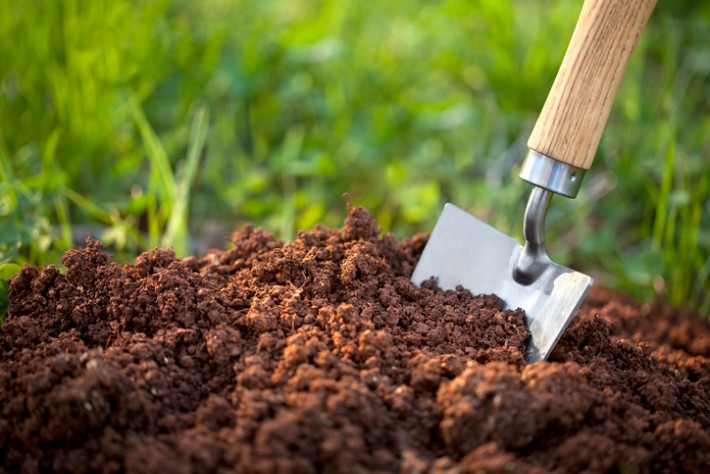 most rated transplanting trowel