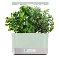 aerogarden hydroponic growing system