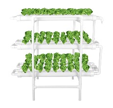 lapond hydroponic growing system