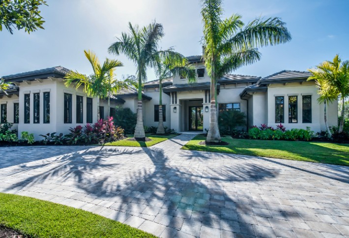 top-rated palm trees in 2024