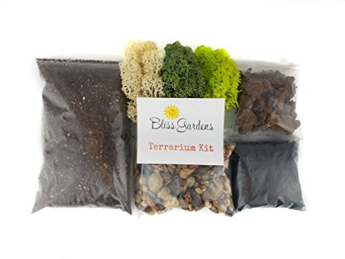 Bliss Gardens Terrarium Kit