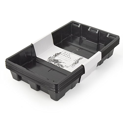 Wild Green Fingers Seed Trays