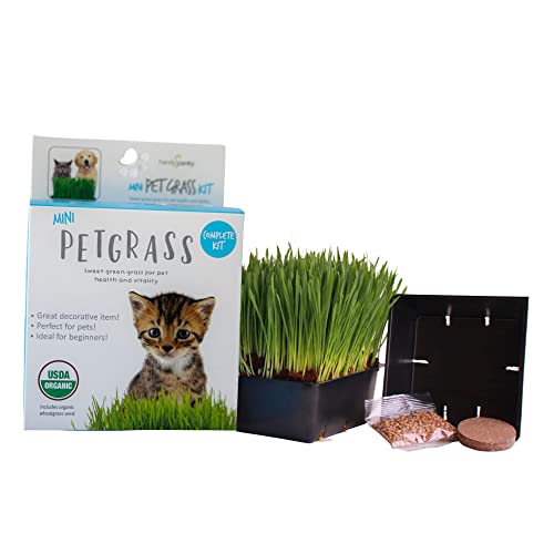 Handy Pantry Cat Grass