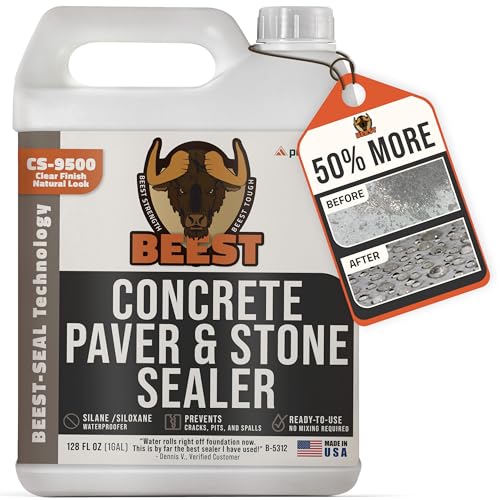 BEEST Outdoor Concrete Sealer