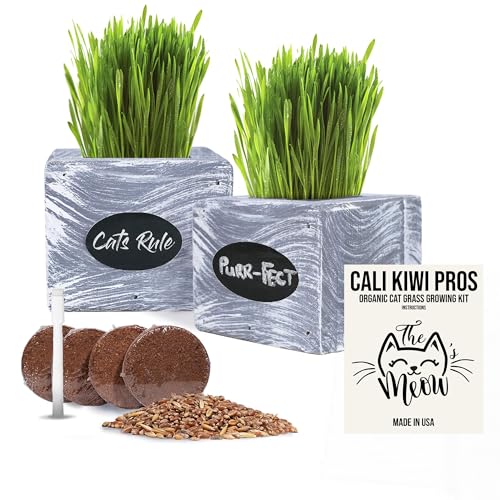 CALI KIWI PROS Cat Grass Kit