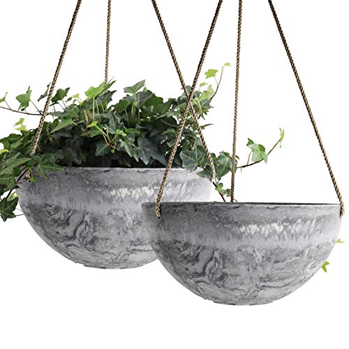 La Jolíe Muse Hanging Basket